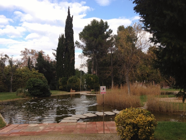 Visita_bloggers_celler_jaume_codorniu_detalle_finca